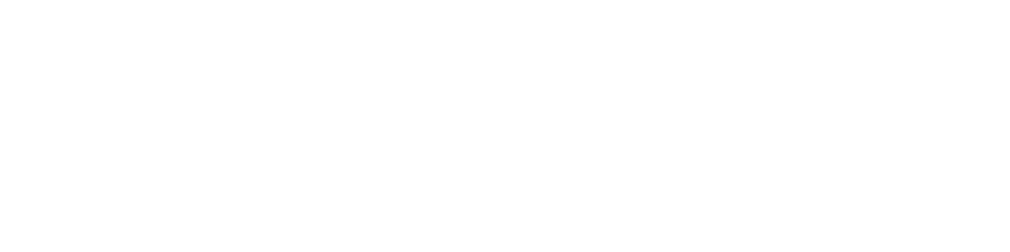 BZ Legal
